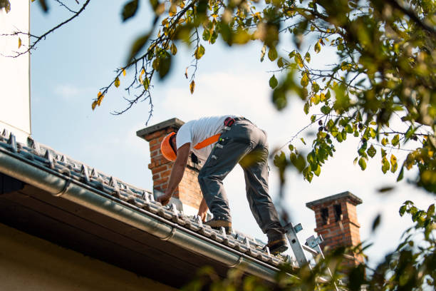 Best Metal Roofing Contractor  in Millis Clicquot, MA
