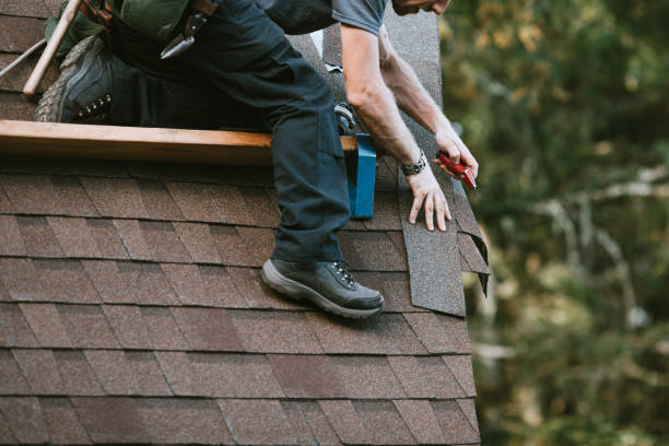 Best Roof Gutter Cleaning  in Millis Clicquot, MA